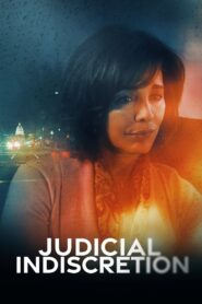 Judicial Indiscretion 2007 one on netflix