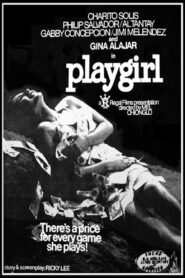 Playgirl 1981 one on netflix