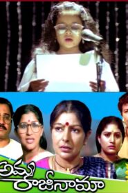 Amma Rajinama 1991 one on netflix