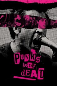 Punk’s Not Dead 2007 one on netflix