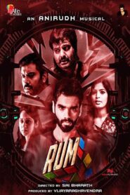 Rum 2017 one on netflix