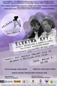 Elektra Kft. avagy: bevezetés a kapitalizmus politikai gazdaságtanába 1996 one on netflix
