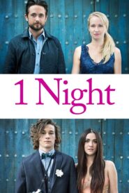 1 Night 2016 one on netflix
