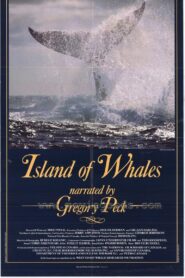 Island of Whales 1990 one on netflix