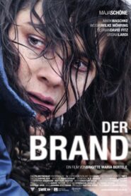 The Fire 2011 one on netflix