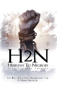 Hebrews to Negroes: Wake Up Black America 2018 one on netflix
