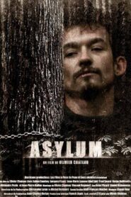 Asylum 2008 one on netflix