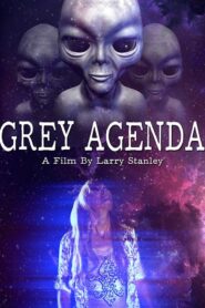 Grey Agenda 2017 one on netflix