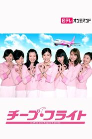 Cheap Flight!! 2013 one on netflix