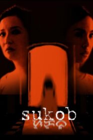 Sukob 2006 one on netflix