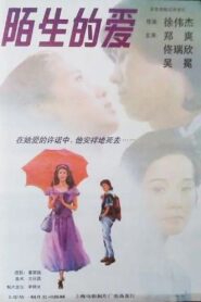 陌生的爱 1994 one on netflix