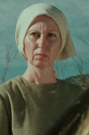 Hinterland 1981 one on netflix