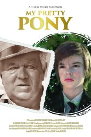 My Pretty Pony 2017 one on netflix