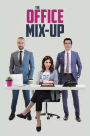 The Office Mix-Up 2020 one on netflix