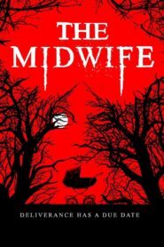 The Midwife 2021 one on netflix