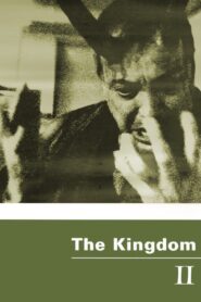 The Kingdom II 1997 one on netflix