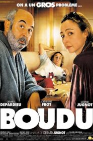 Boudu 2005 one on netflix