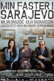 My Aunt in Sarajevo 2016 one on netflix