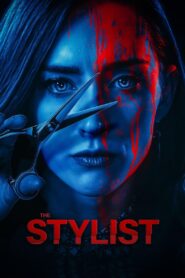 The Stylist 2020 one on netflix