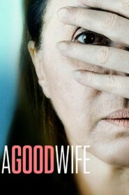 A Good Wife 2016 one on netflix