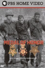 Medal of Honor 2008 one on netflix
