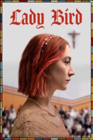 Lady Bird 2017 one on netflix