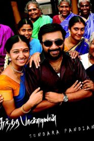 Sundarapandian 2012 one on netflix