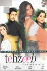 Tehzeeb 2003 one on netflix