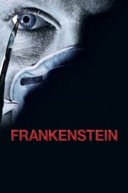 Frankenstein 2004 one on netflix