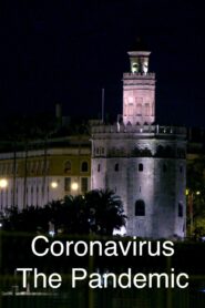 Coronavirus: The Pandemic 2021 one on netflix