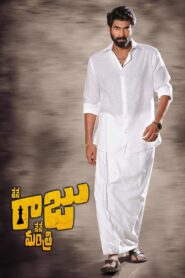 Nene Raju Nene Mantri 2017 one on netflix