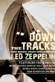 Down the Tracks: The Music That Influenced Led Zeppelin 2008 one on netflix