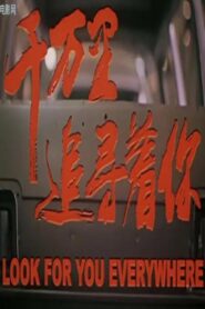 Look For You Everywhere 2000 one on netflix