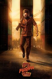 Pushpa 2 – The Rule 2024 one on netflix