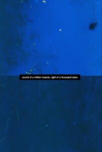 Sound of a Million Insects, Light of a Thousand Stars 2015 one on netflix