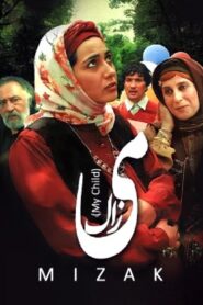My Child 2009 one on netflix