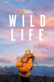 Wild Life 2023 one on netflix