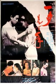 A Year After Getting Married 1991 one on netflix
