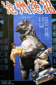 沧州绝招 1991 one on netflix