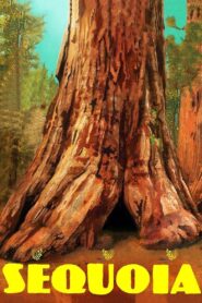 Sequoia 2014 one on netflix