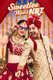 Sweetiee Weds NRI 2017 one on netflix