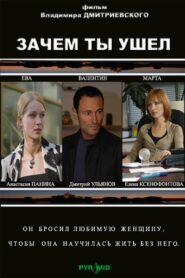 Why did you leave? 2008 one on netflix