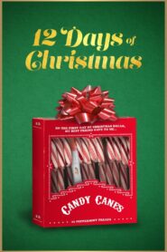 12 Days of Christmas 2020 one on netflix