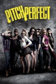 Pitch Perfect 2012 one on netflix