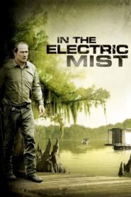 In the Electric Mist 2009 one on netflix