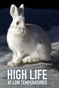 High Life at Low Temperatures 2017 one on netflix
