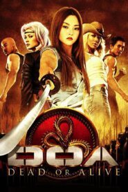 DOA: Dead or Alive 2006 one on netflix