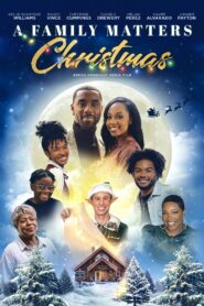 A Family Matters Christmas 2022 one on netflix