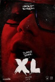 XL 2013 one on netflix