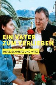 Ein Vater zum Verlieben 2001 one on netflix